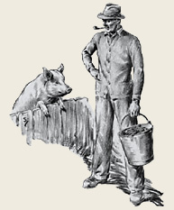 Pig club advertisement