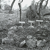 The graves of three British soldiers killed near Castelforte, Italy, 31 January 1944.