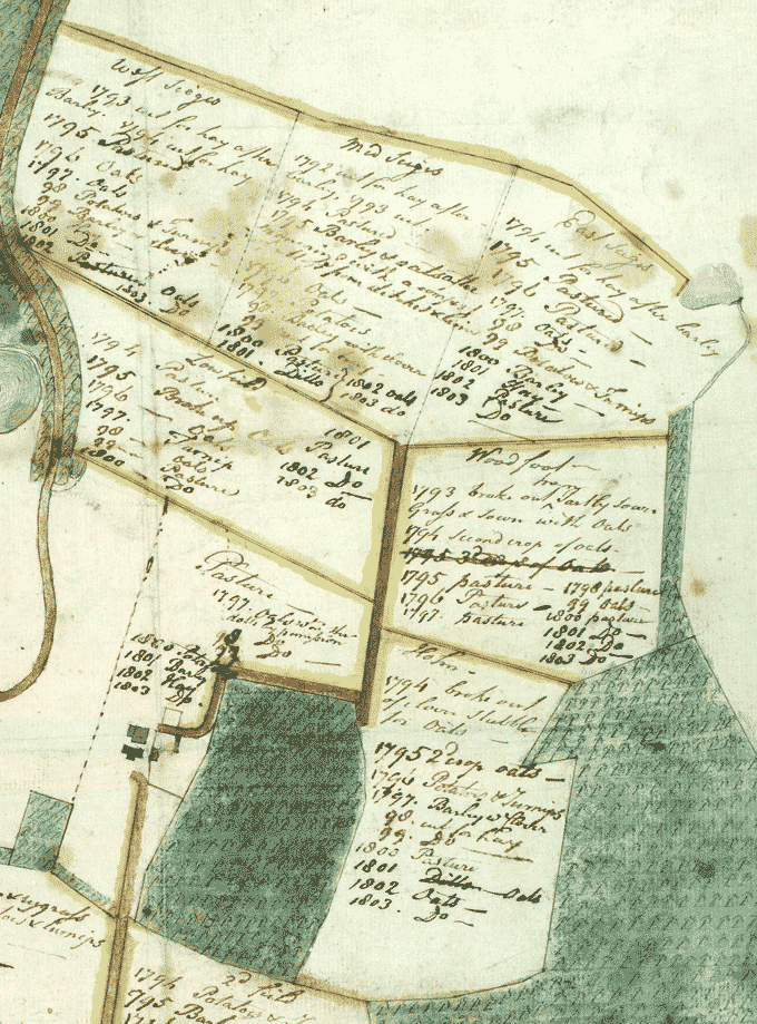Image shows an 18th century plan of crop rotation implemented at Murraythwaite in Dumfriesshire. National Records of Scotland reference RHP 6070
