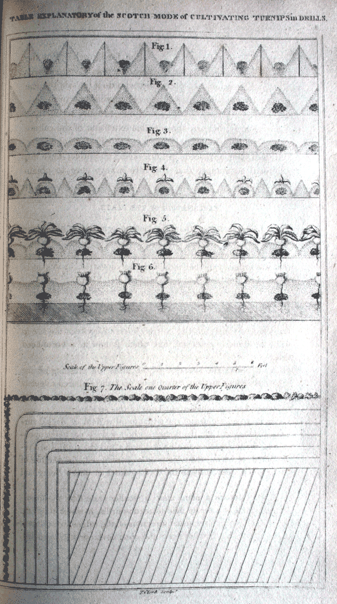 Table explanatory of the Scotch Mode of Cultivating Turnips in Drills from 'The General Report of the Agricultural State and Political Circumstances of Scotland' edited by John Sinclair (1814)