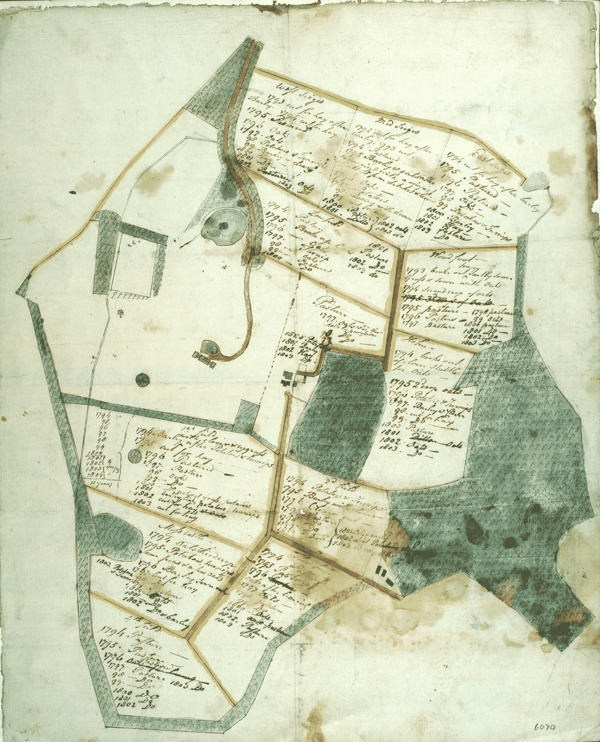 Image shows a plan of crop rotation implemented at Murraythwaite in Dumfriesshire. National Records of Scotland reference RHP 6070