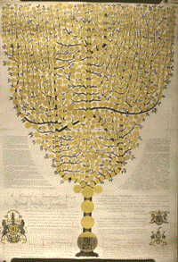 Image shows John Brown's genealogical tree of the Scottish royal family, 1792. National Records of Scotland reference: RH16/135.
